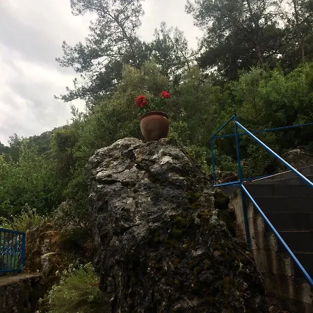 Alp Aparthotel *