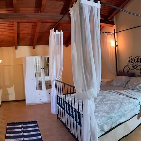 Alp Apart Otel Turunç
