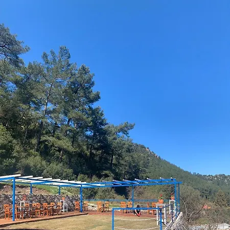 Alp Turunç