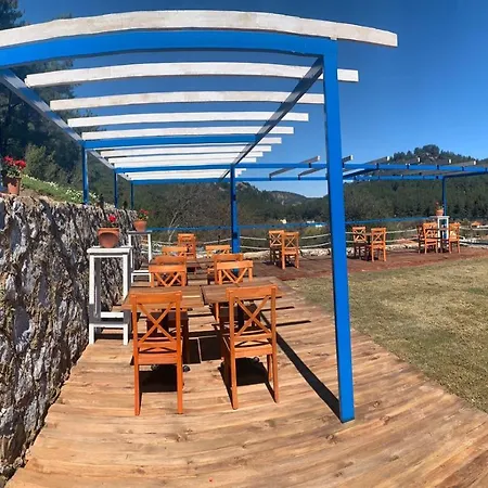Alp Apart Otel Turunç