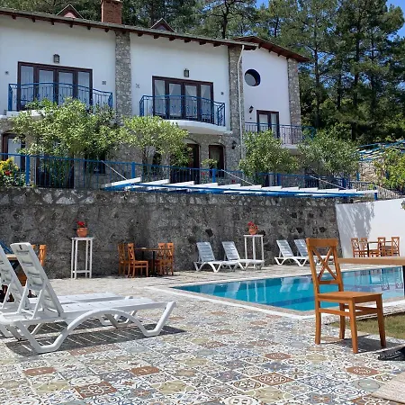 Alp Turunç